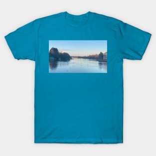 natural T-Shirt